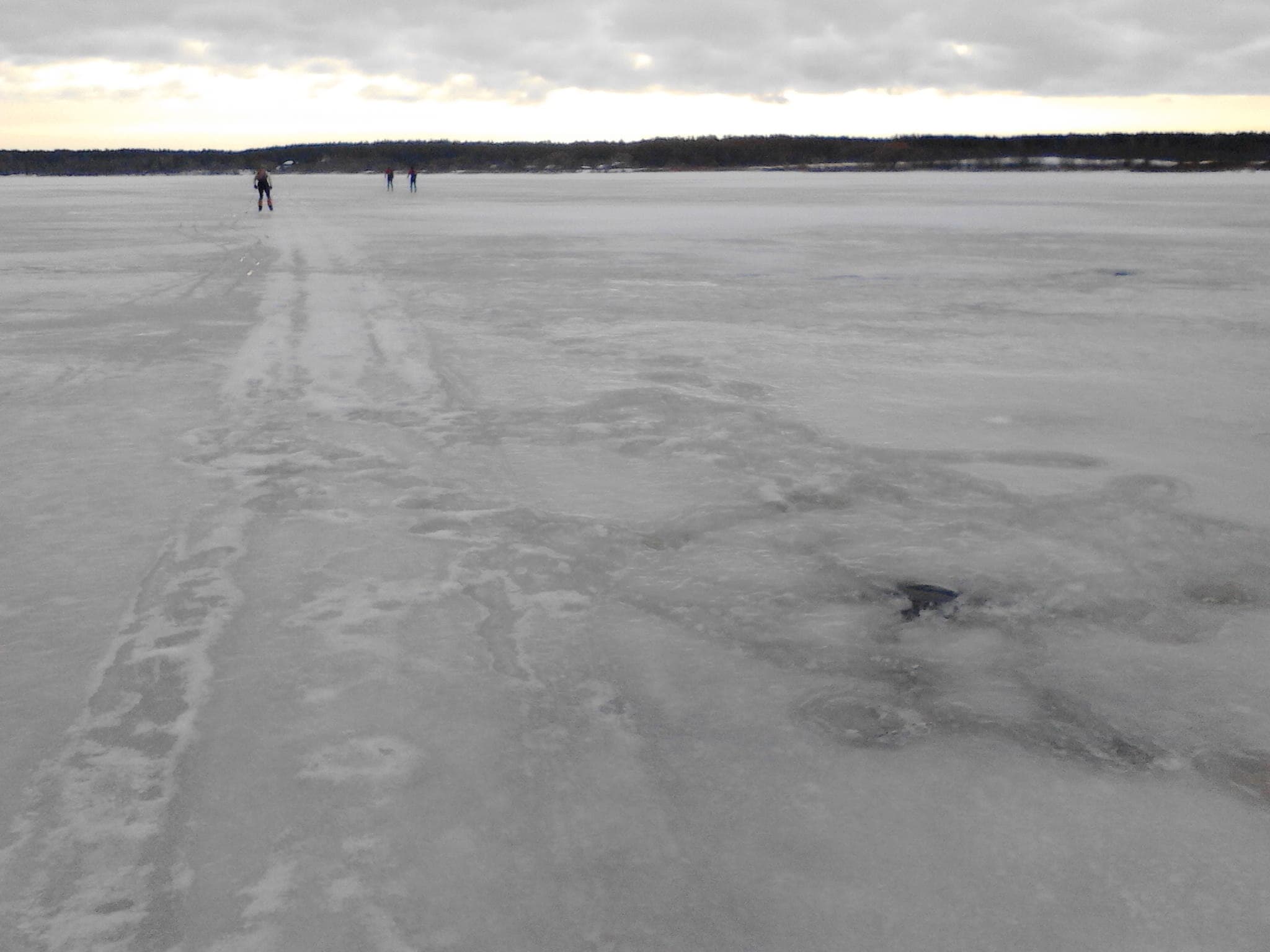 На лыжах по Московскому Морю. Отчёт Марины Галкиной